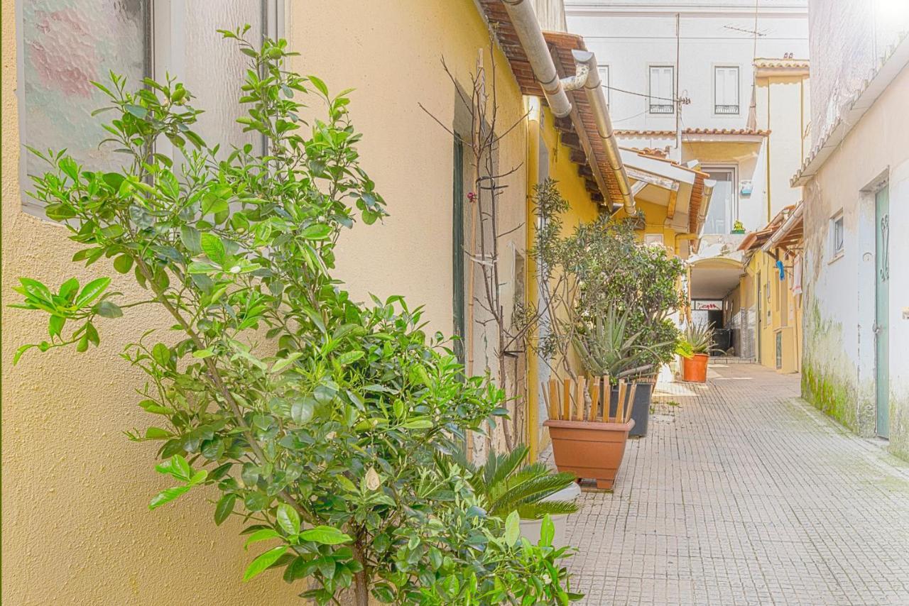 Cosy Duplex House In Downtown Lisboa Exterior foto